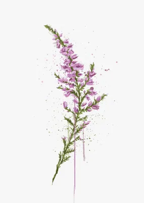 Flower Wall Art Print 'Heather'